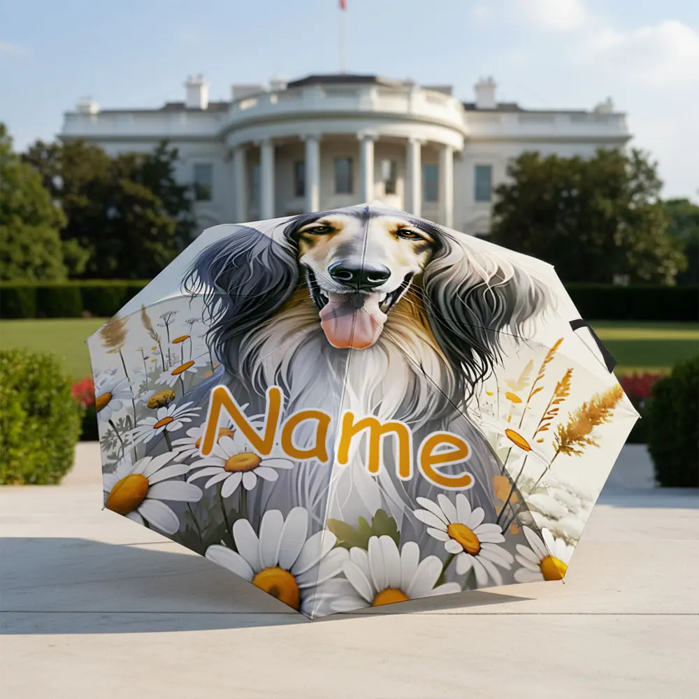 Custom Name umbrella,Elegant Long-Haired Canine with Daisies and Grasses Dog Fashion Folding Umbrella for Sunny and Rainy Days