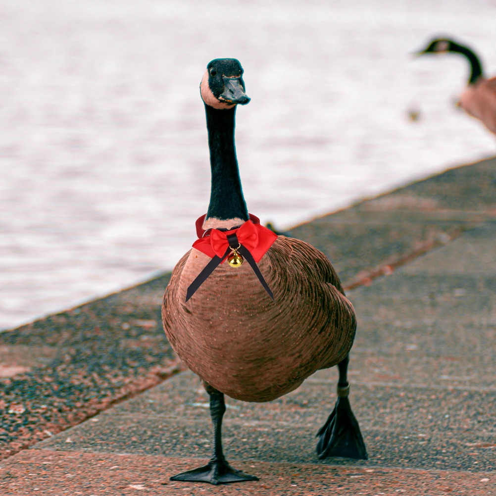 

Pet Bird Collar Red Decorative Bow Tie Adjustable Chicken Duck Goose H made Fashionable Party Pet Supply Lightweight Christmas