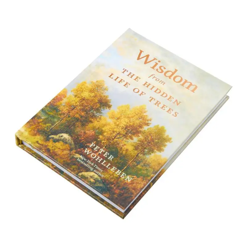 Kebijaksanaan Dari Kehidupan Tersembunyi Pohon Peter Wohlleben Greystone Books 9781778401404 Buku