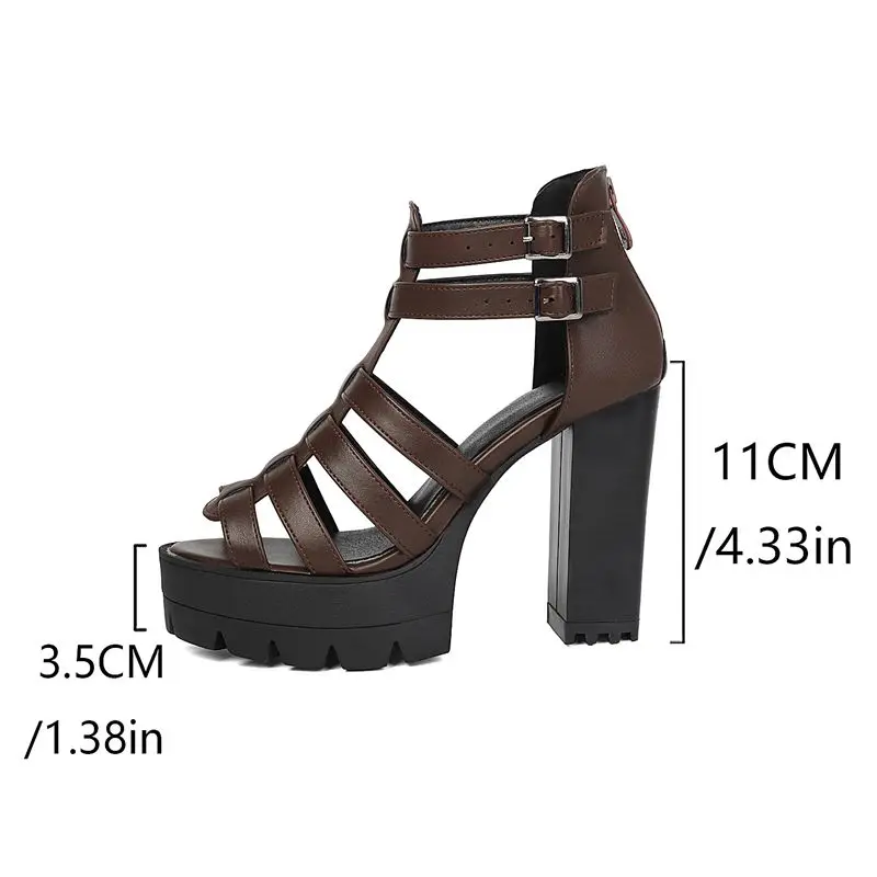 REAVE CAT Brown Women Sandals Peep Toe 11cm Chunky High Heel 3.5cm Platform Buckle T-Strap Plus Size 44 45 43 Sexy Dating Shoes view 2