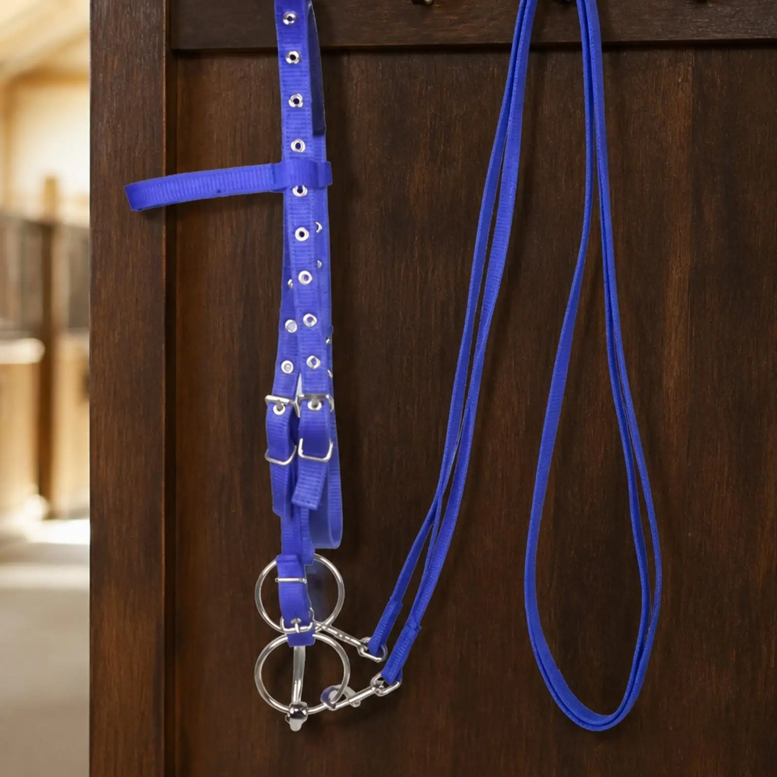 adjustable-nylon-horse-bridle-with-reins-for-daily-riding-schooling-tack