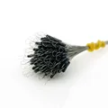 Tight Black Bean