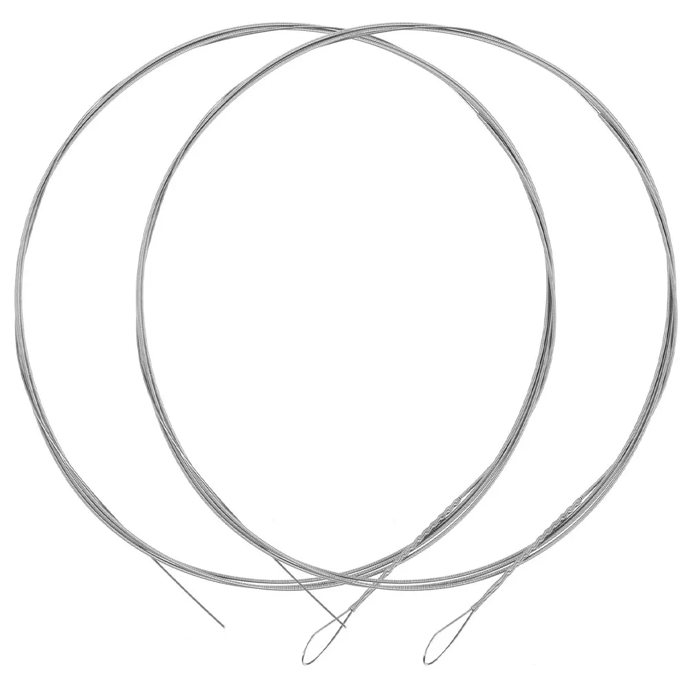 

2pcs Metal Dulcimer Strings Silver Replacement For Outdoor Performance Music Practice Folk Dulcimer Accessories