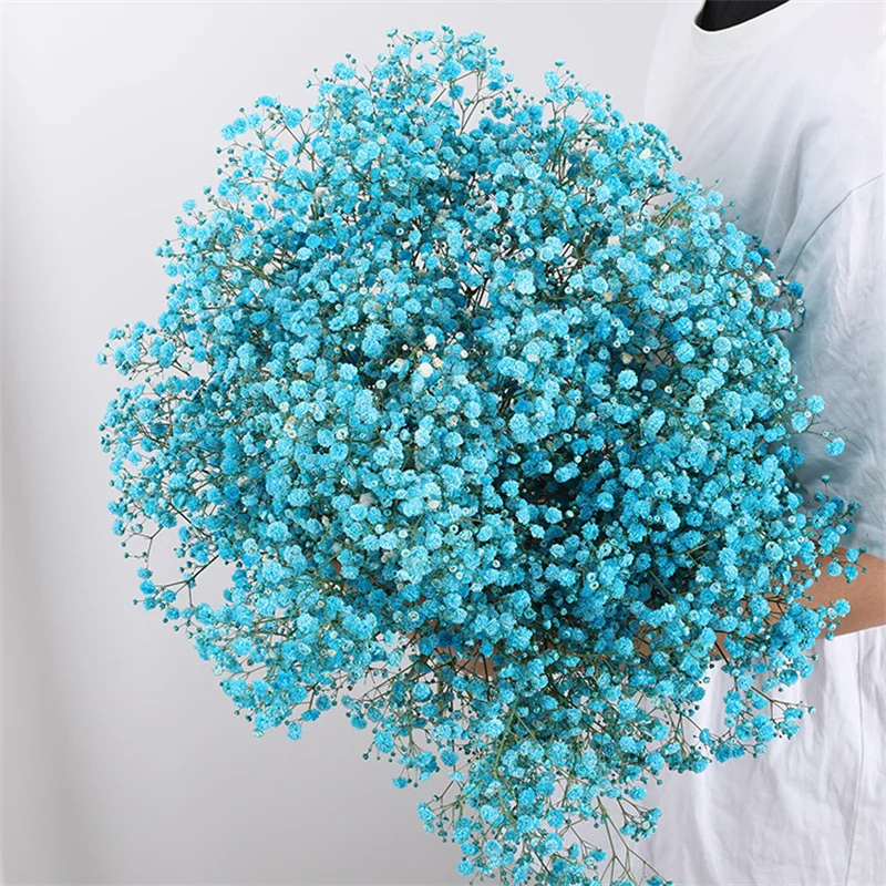 

Natural Real Dried Flowers Preserved Gypsophila Paniculata Baby's Breath Flower Bouquet Wedding Home Decor Arrangements Bedroom