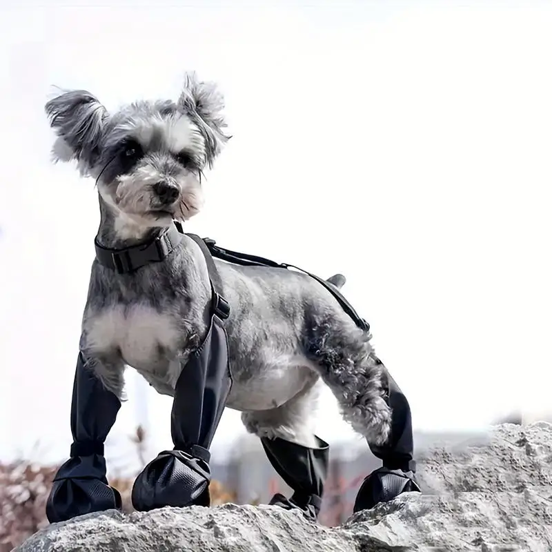 Thumbnail 4 - #18 New Dog Boots Arrivals