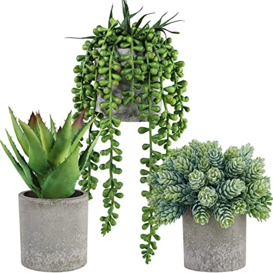 

Set of 3 Mini Potted Succulents Artificial String of Pearls Aloe Hops Succulent Plants in Gray Pots for Gifts Table Shelves Win
