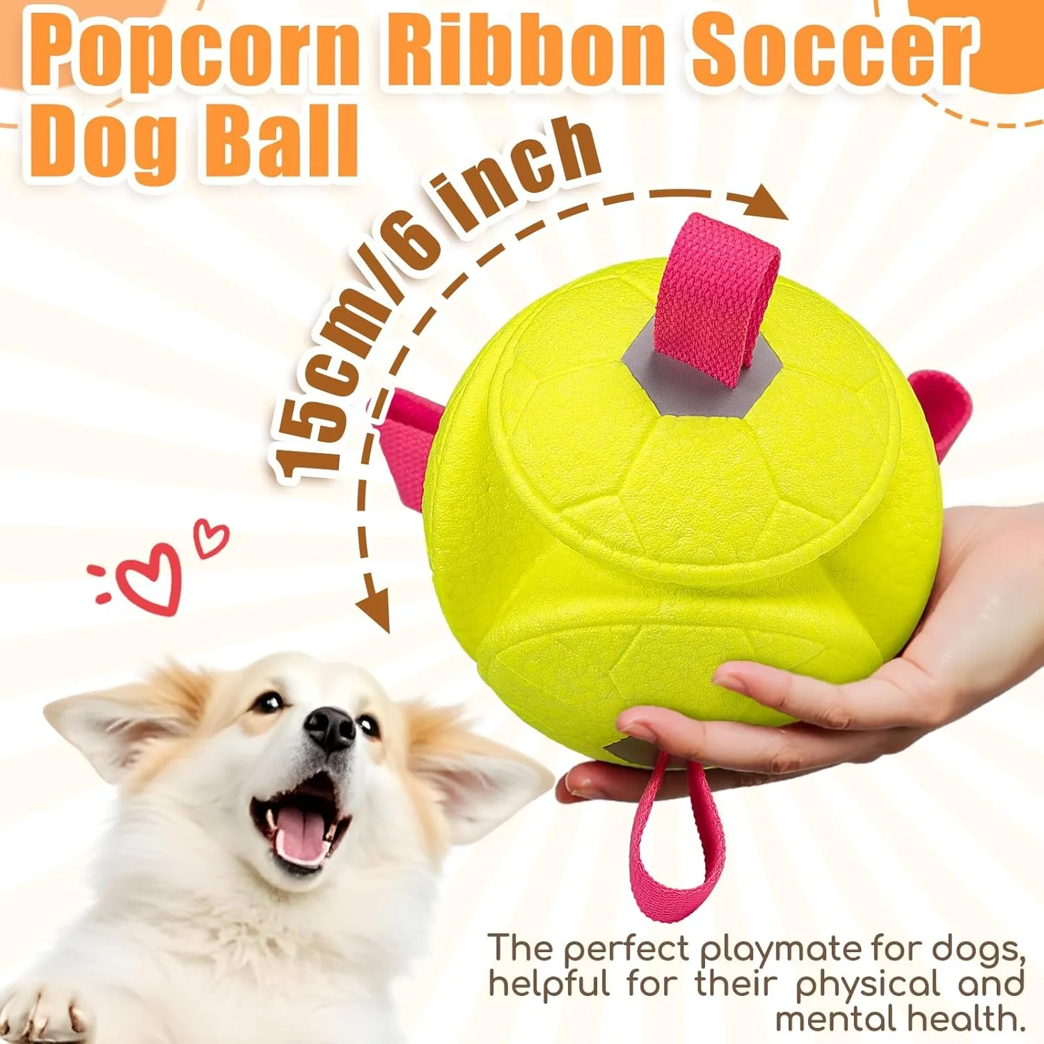 #11 Compare Puppy Fetch Toys Before You Buy
