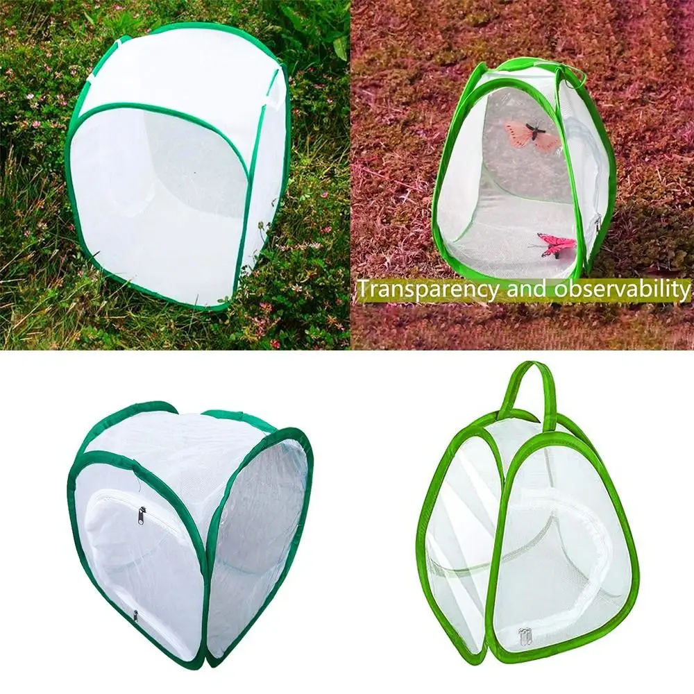 Green Collapsible Insect Cage Zipper Opening Transparent Mesh Reptile Pets Cage Feeding Box Insect Habitat Plant Insect Screen