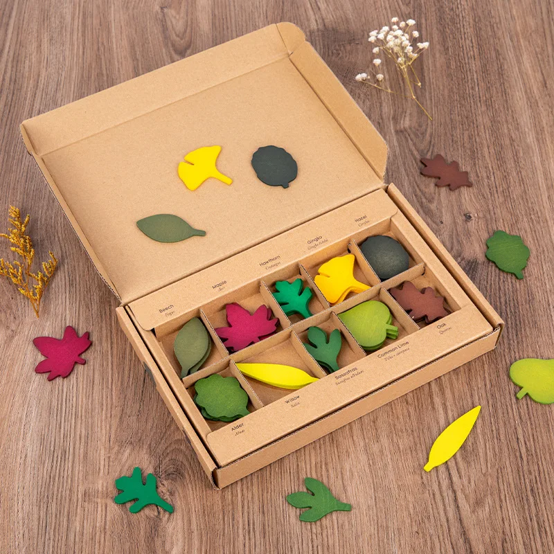 Ensemble de feuilles en bois pour enfants, jouets d'intérieur, ensembles de jeu ouverts, apprentissage précoce Montessori pour les botanistes