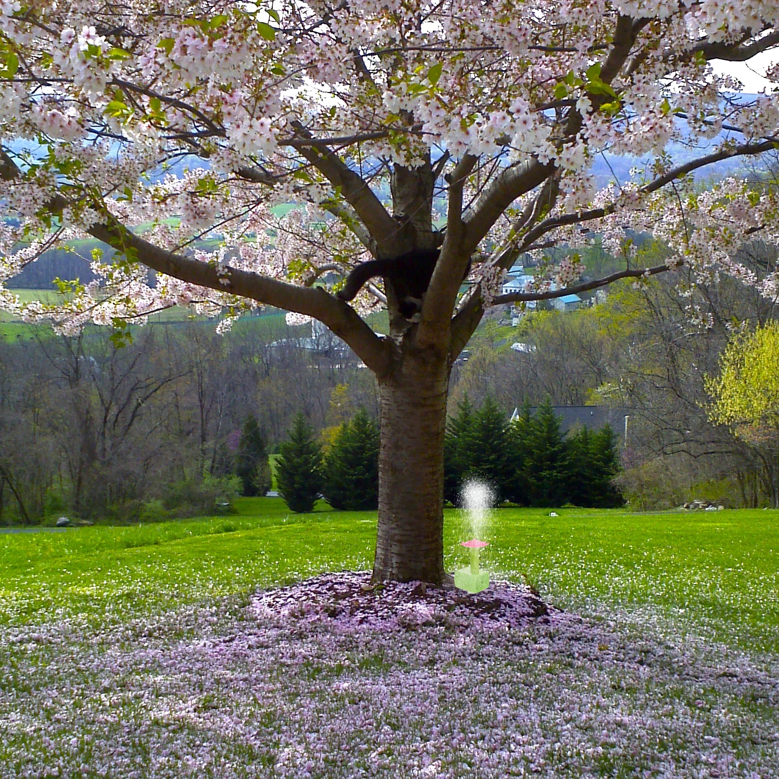 

1 set Solar Fountain Water Pump Plastic Outdoor Garden Decor Mini Pool Solar Pump Energy Saving Creative Practical Baby