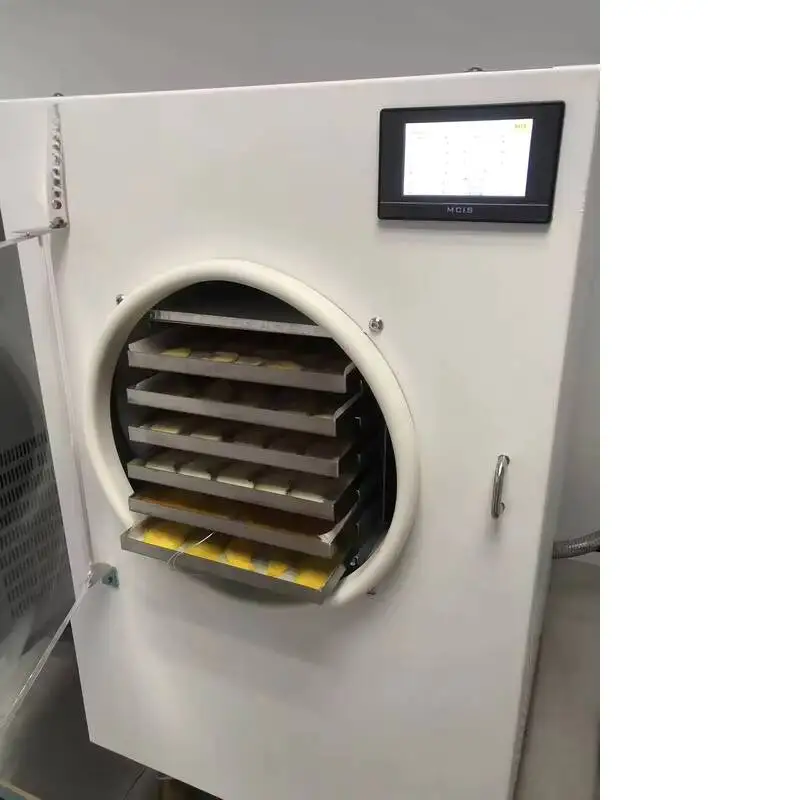 Household Commercial 10~20kg Yophilizer Freeze Dryer Small-sized Food, Fruits, Vegetables, And Chinese Herbal Medicine