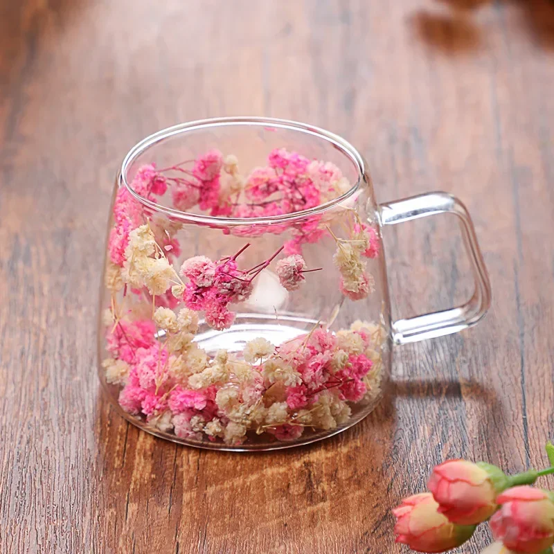 Dubbele Wand Glazen Beker Helder Gedroogde Bloemen Helder Glas Theekop Koffie Melk Water Creatieve Geschenken Geïsoleerde Glazen Bekers Met Handvat