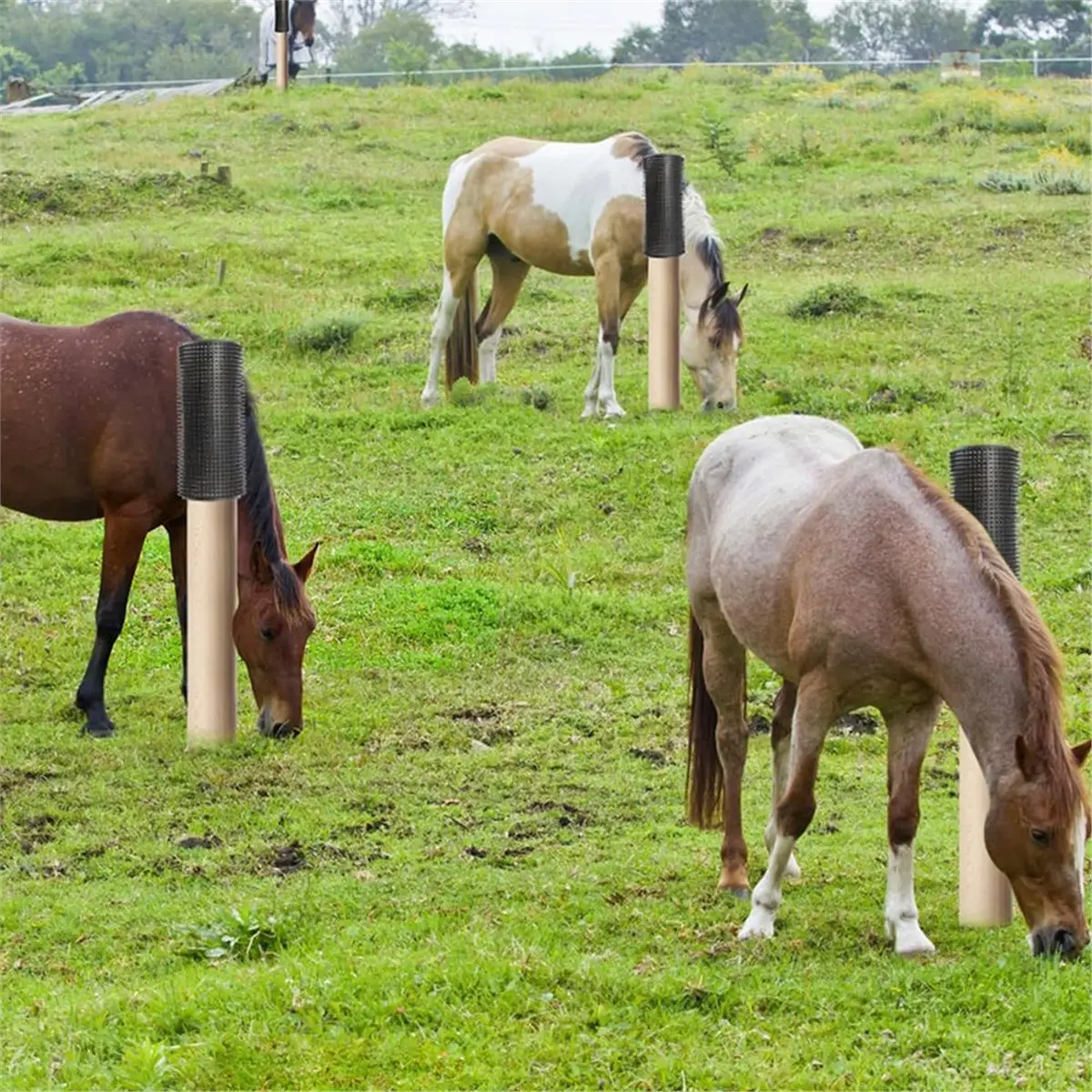 Welcome Deal-Farm Animal Horse Scratcher Anti-Itching Farm Animal Massage Pad Horse Cow Scratcher