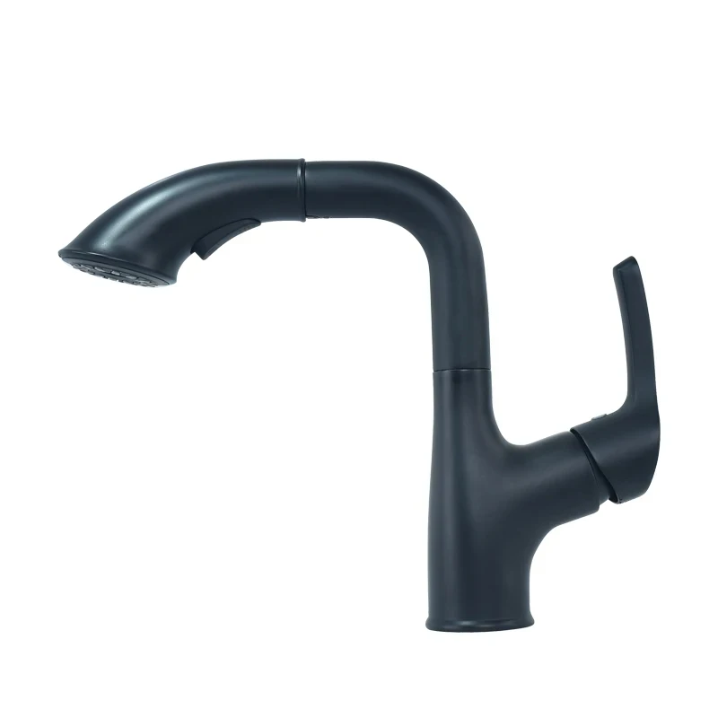 الحمام الأسود حوض الحنفيات المرحاض غسل الشعر قطعة أثرية كرين حوض غسيل خلاط المياه الصنبور الأسود عقد رأس دش #6