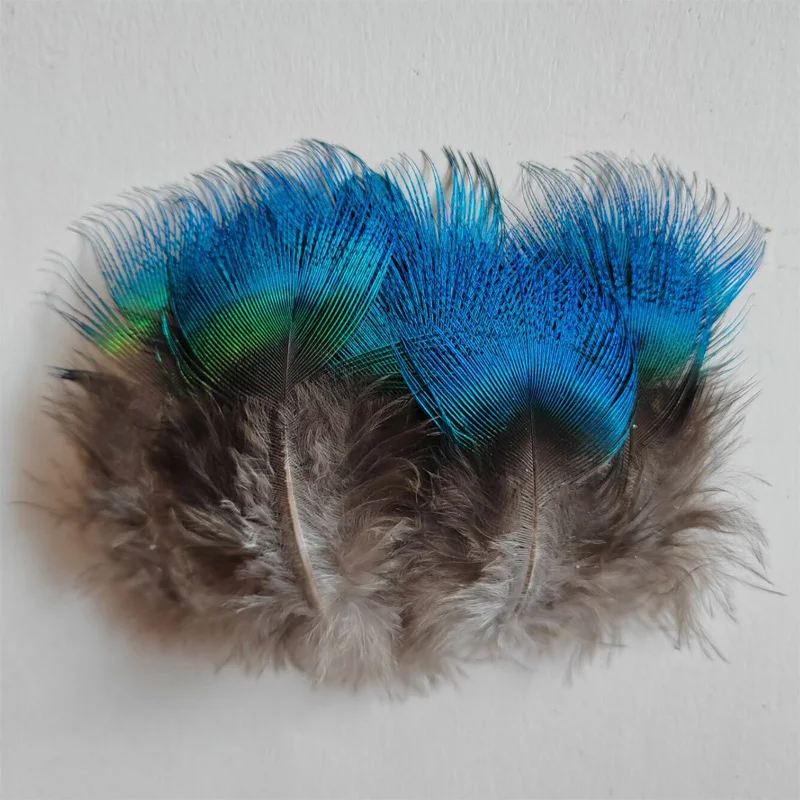 20PCS/LOT 5-7CM BLUE PEACOCK BODY PLUMAGE FEATHERS,High Qality Peacock Plumes for Crafts,DIY Accessories,Plumas Decorativas