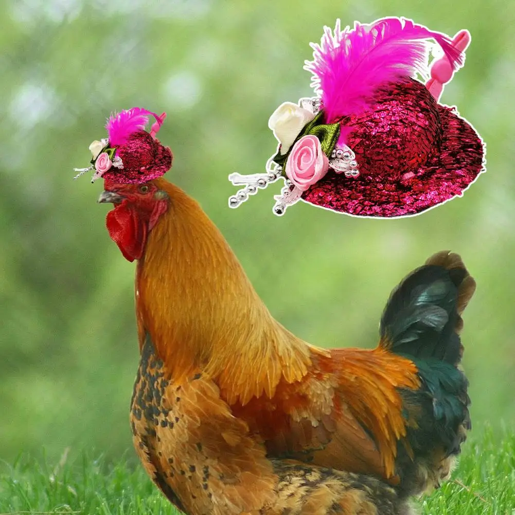 Rooster Cap Delicate Hemming Feather Decor High Elasticity Hen Mini Chicken Helmet Accessories Feather Top Chicken Hat for Party