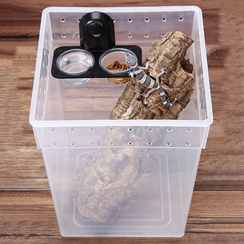 Reptile Terrarium Breeding Bowl Ideal Spider Ant Nest Geckos And Snakes Feeders Water & Food Feeding Box - Image 5
