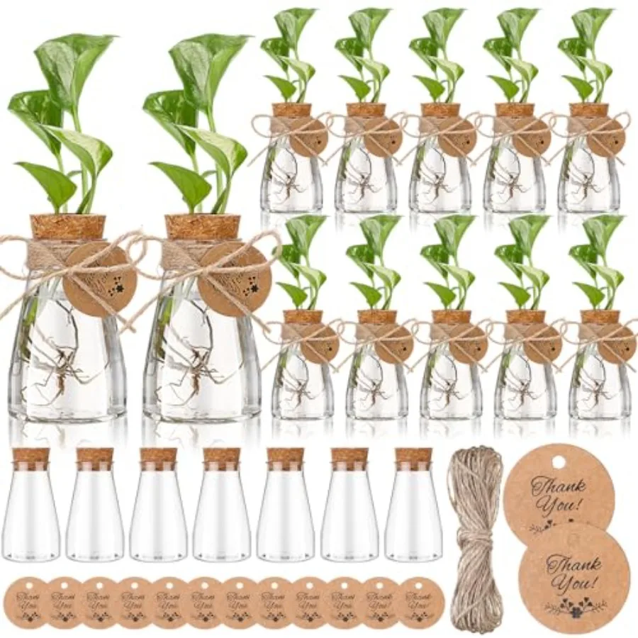 

24 Pack 3.35'' Plastic Plant Propagation Stations with Hole Lid Planter Vase Clear Propagation Jars with Thank You Tags for Pla