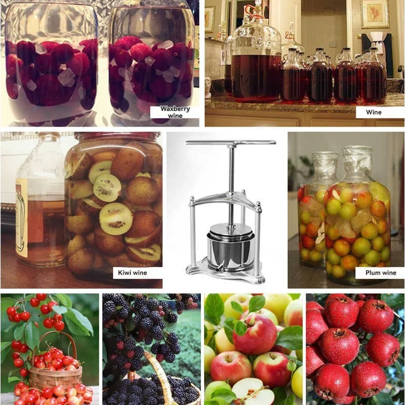 Prensa manual de suco para frutas e vegetais, desidratador de frutas e vegetais, utensílios de cozinha