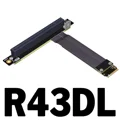 R43DL