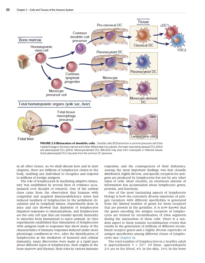 Inmunología celular y Molecular, 10