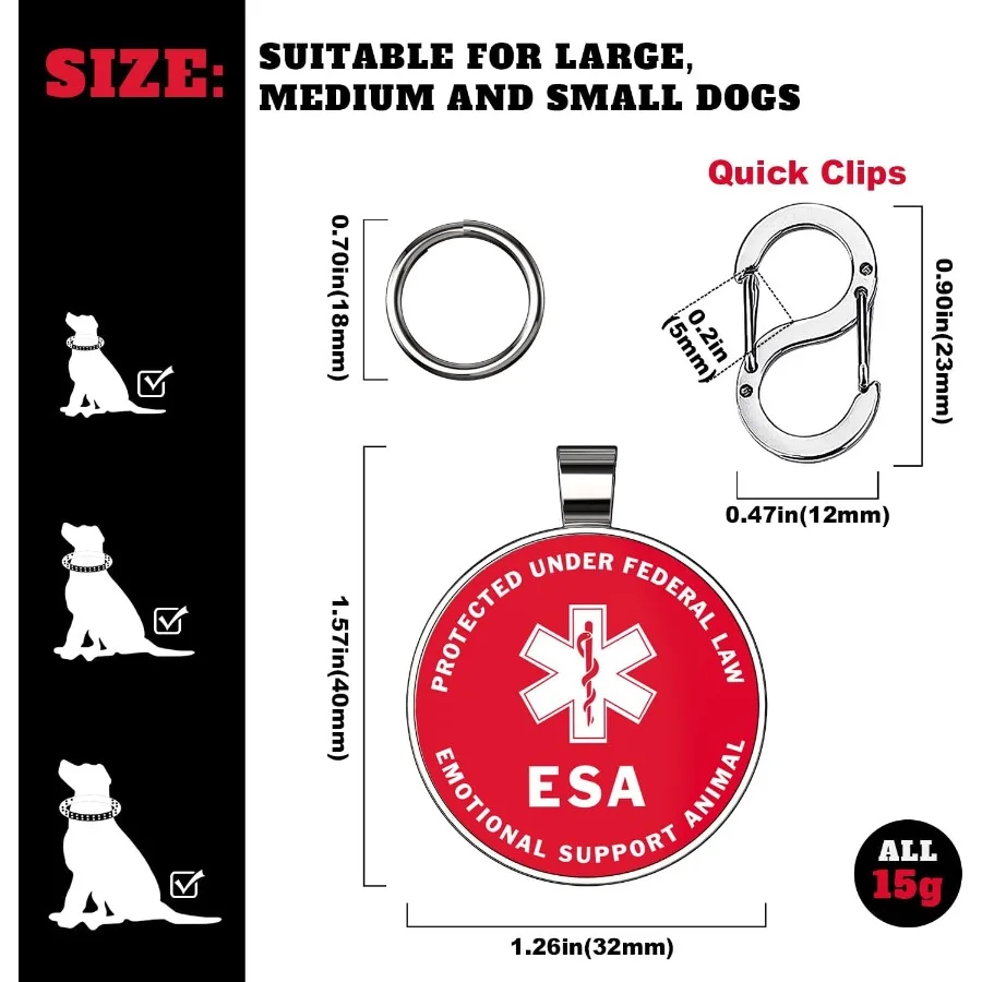 Codice QR Etichettoni identificativi per cani persolizzati Etichette personalizzate per cani e gatti Informazioni sulla archiviazione Webe per animali online gratuite