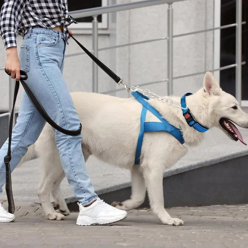 Adaptador doble antiescape para collar y correa de perro - imagen 2