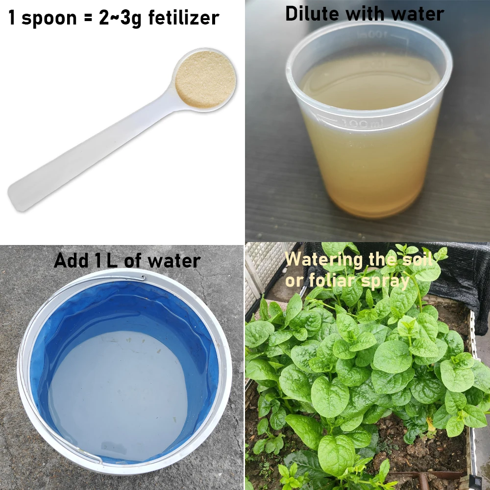 30g マルチストレイン Bacillus lichenif - Tissue Culture Plant のレビューと価格