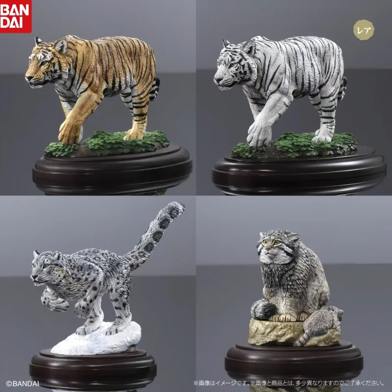 Bandai Wild Feline Animal Miniature Model Bengal Tiger White Tiger Snow Leopard Pallas Cat Desktop Display Ornament Enthusiast