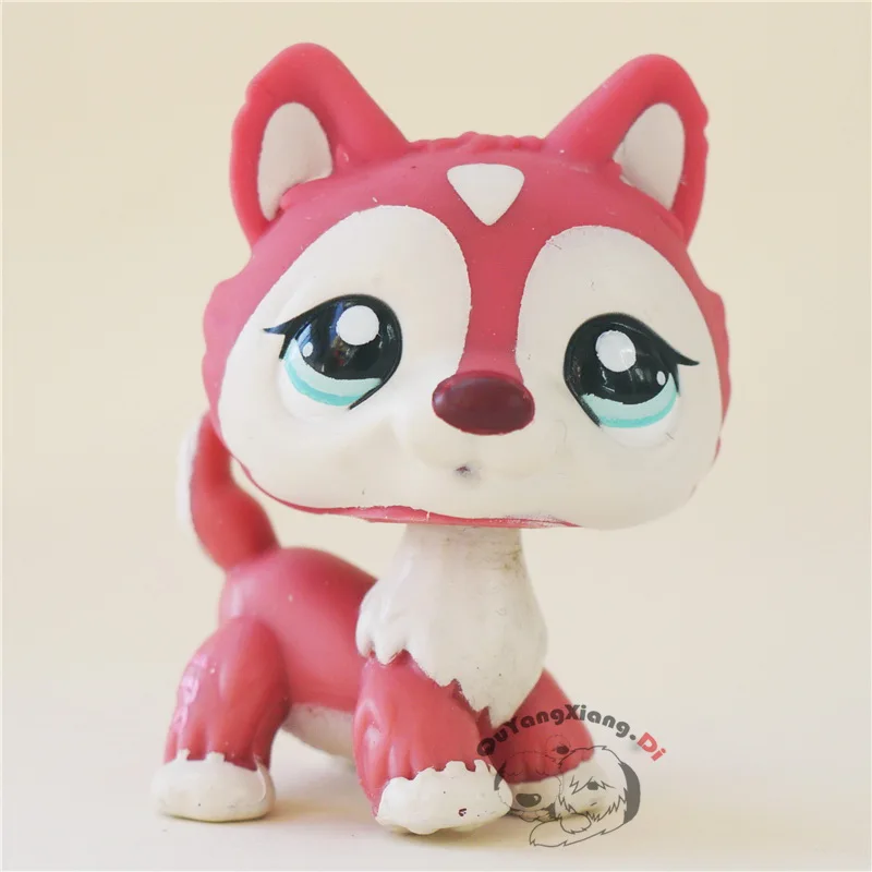 CWM028 Pet Shop Animal Red-brown The classic red and white cat doll action Figure kitten