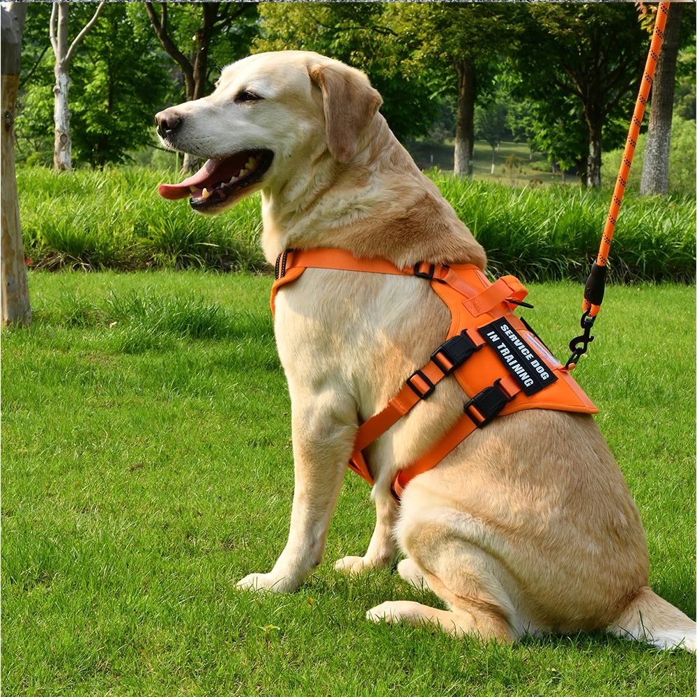 Service-Hundeweste, kein ziehendes Hundegeschirr mit 4 Hundeflicken, reflektierendes Haustiergeschirr mit langlebigem, weich gepolstertem Griff für das Training Med – Detail 12