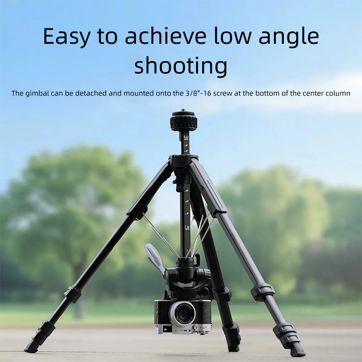 SmallRig AP‑21 Lightweight Tripod｜360° Rotatable Head for DSLR, Mirrorless, Phone, Action & Compact Cameras 5351