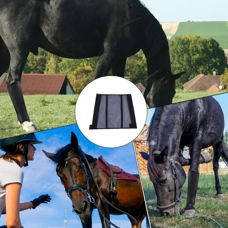 Polainas para moscas de caballo, 4 Uds., botas para moscas reutilizables para caballos, botas para moscas, malla transpirable para comodidad, alivia