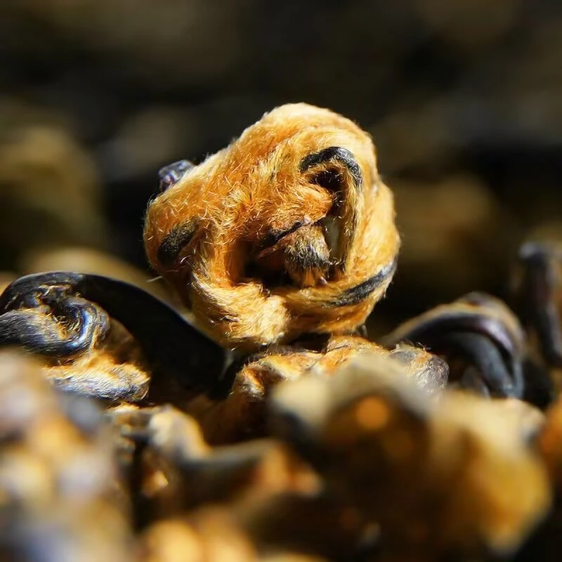 

100g-200g Natural Dian Hong Jin Luo Dried Diy Decoration Crafts With Multiple Uses