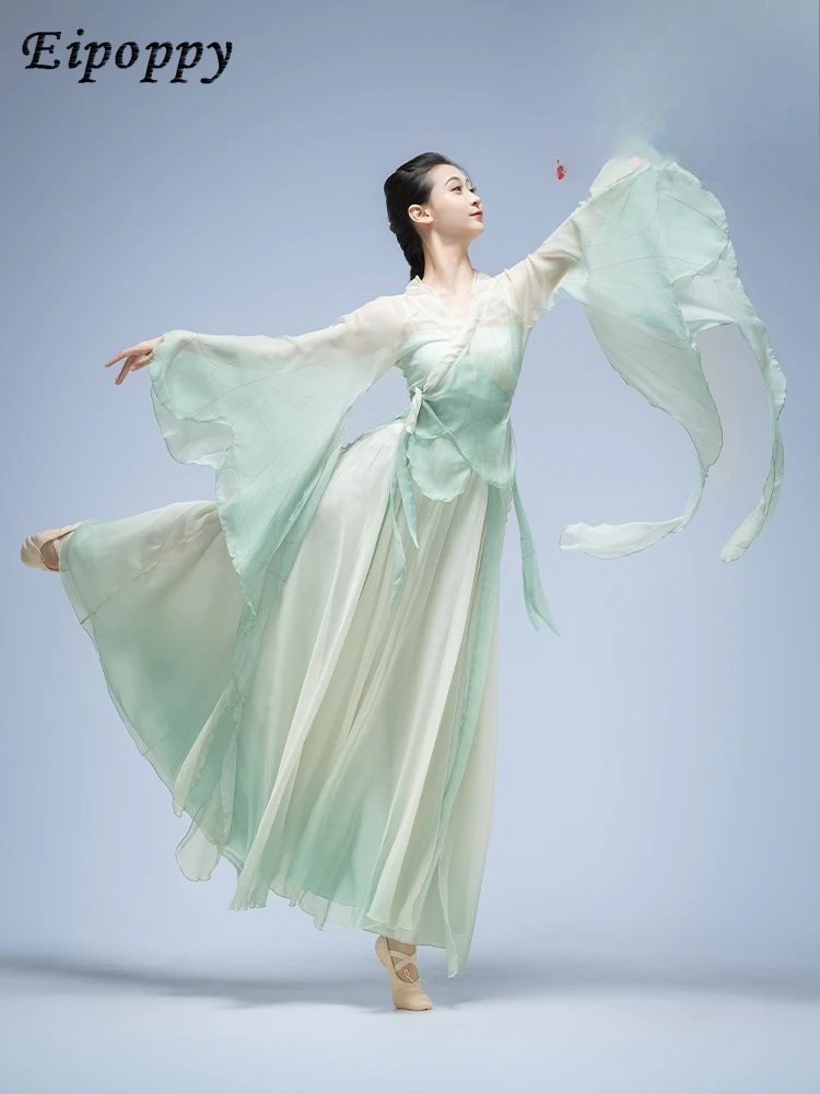 클래식 댄스 의상, 나비 그라데이션 공연 의상