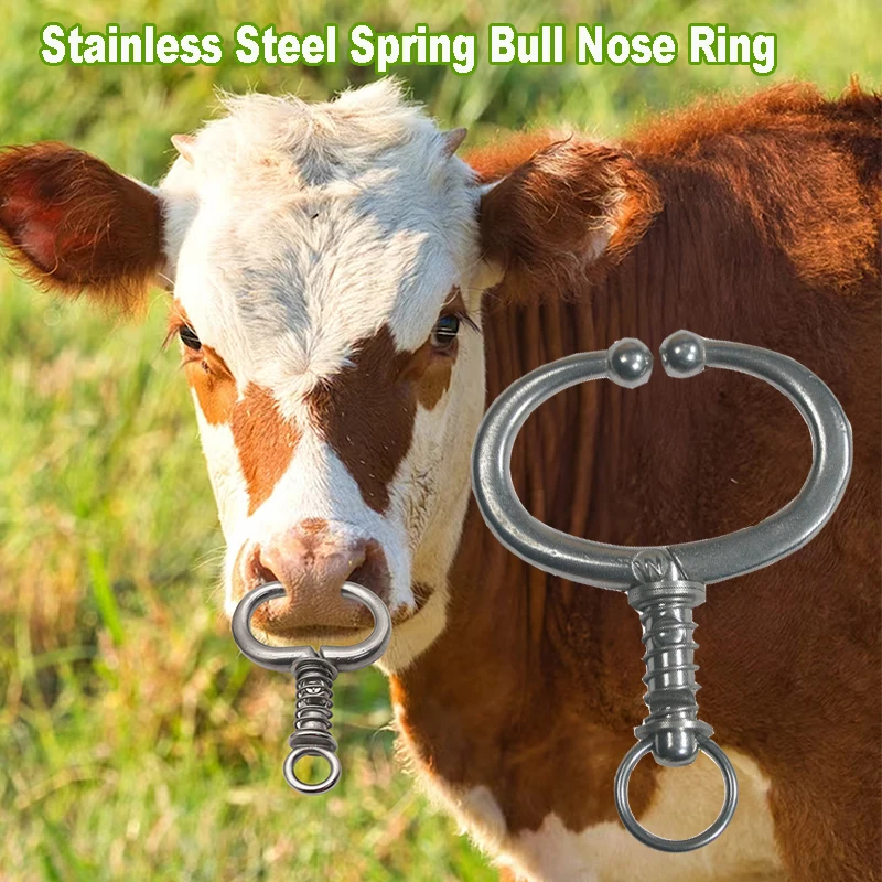 1 قطعة الماشية الماشية الأنف خواتم الفولاذ المقاوم للصدأ الماشية الأنف المشبك الثور البقرة الربيع الأنف مزرعة لوازم الحيوانات الماشية الأنف خواتم