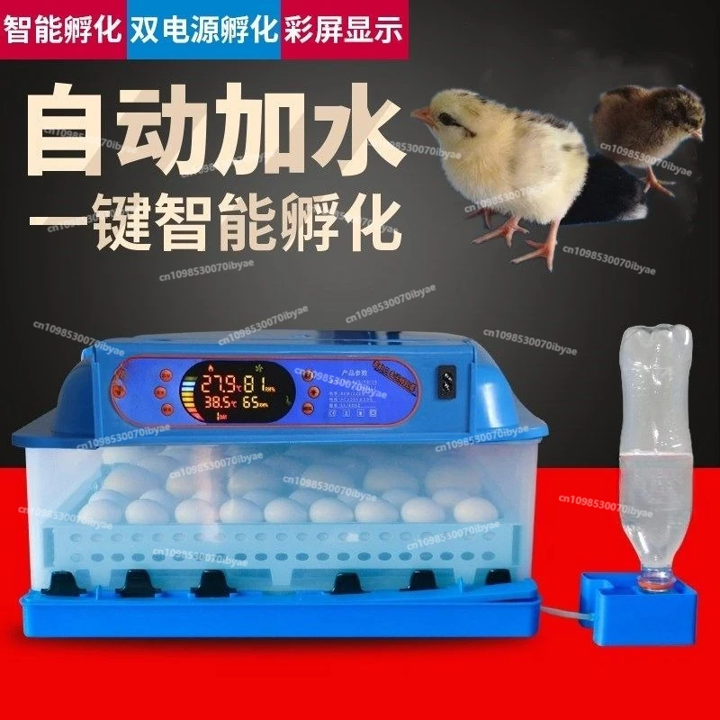 Incubator: Automatic Household Chicken, Duck and Goose Incubator, 72 Small Egg Incubators, Intelligent Temperature Control