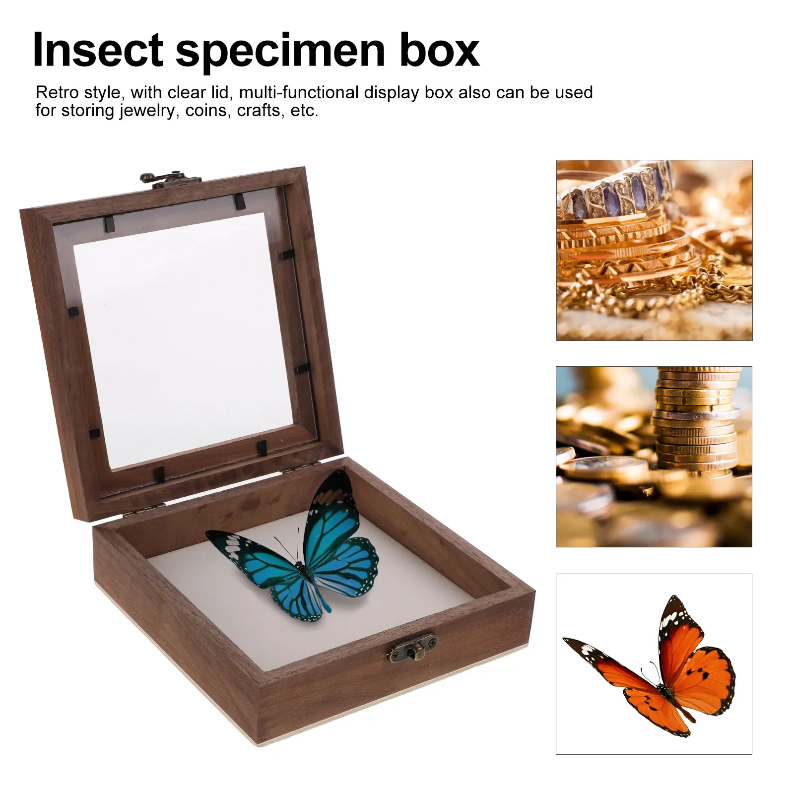 

Butterfly Specimen Display Box Dried Flower Storage Case Wooden Shadow Boxes Vintage Clear Lid Rectangle Dustproof Collector