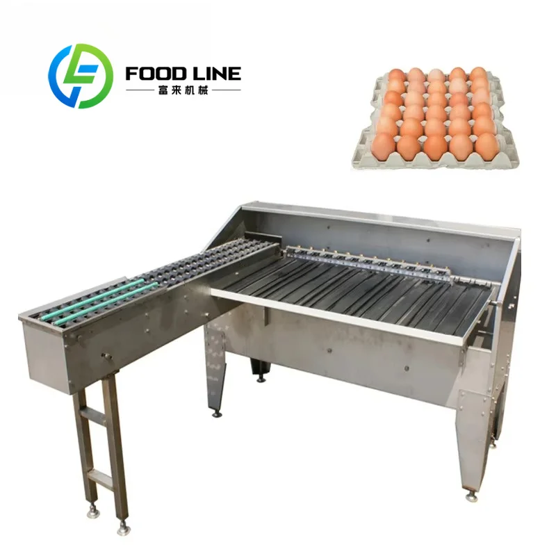 Fully Automatic Five Grades Egg Grader 304 Stainless Steel Duck Goose Hen Egg Weighing Scale Machine Sorting Egg Grading Machine