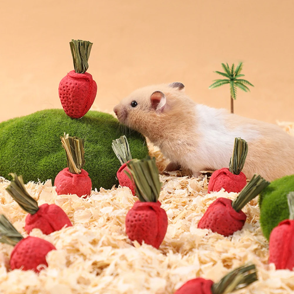 3Pcs Hamster Molar Toy Tooth Molding Strawberry Toys Hamster Chew Playthings Rabbit Accessories Pet Guinea Pig Chewing Props