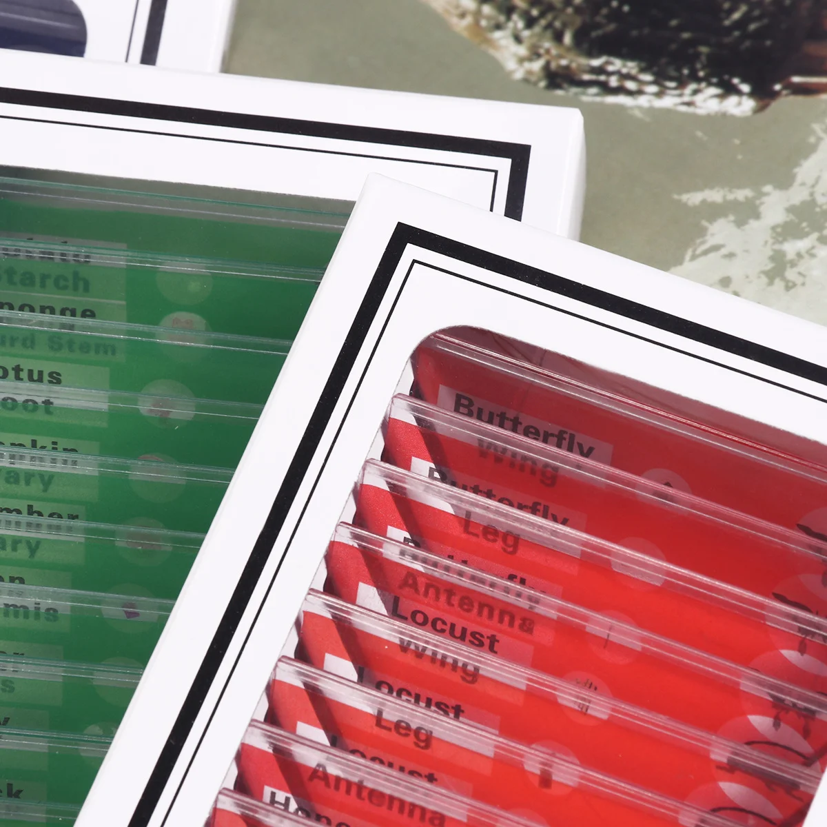 

48Pcs Microscope Slides for Plastic Prepared Sample Specimens of Animals Insects Plants Flowers for Stereo Microscopes