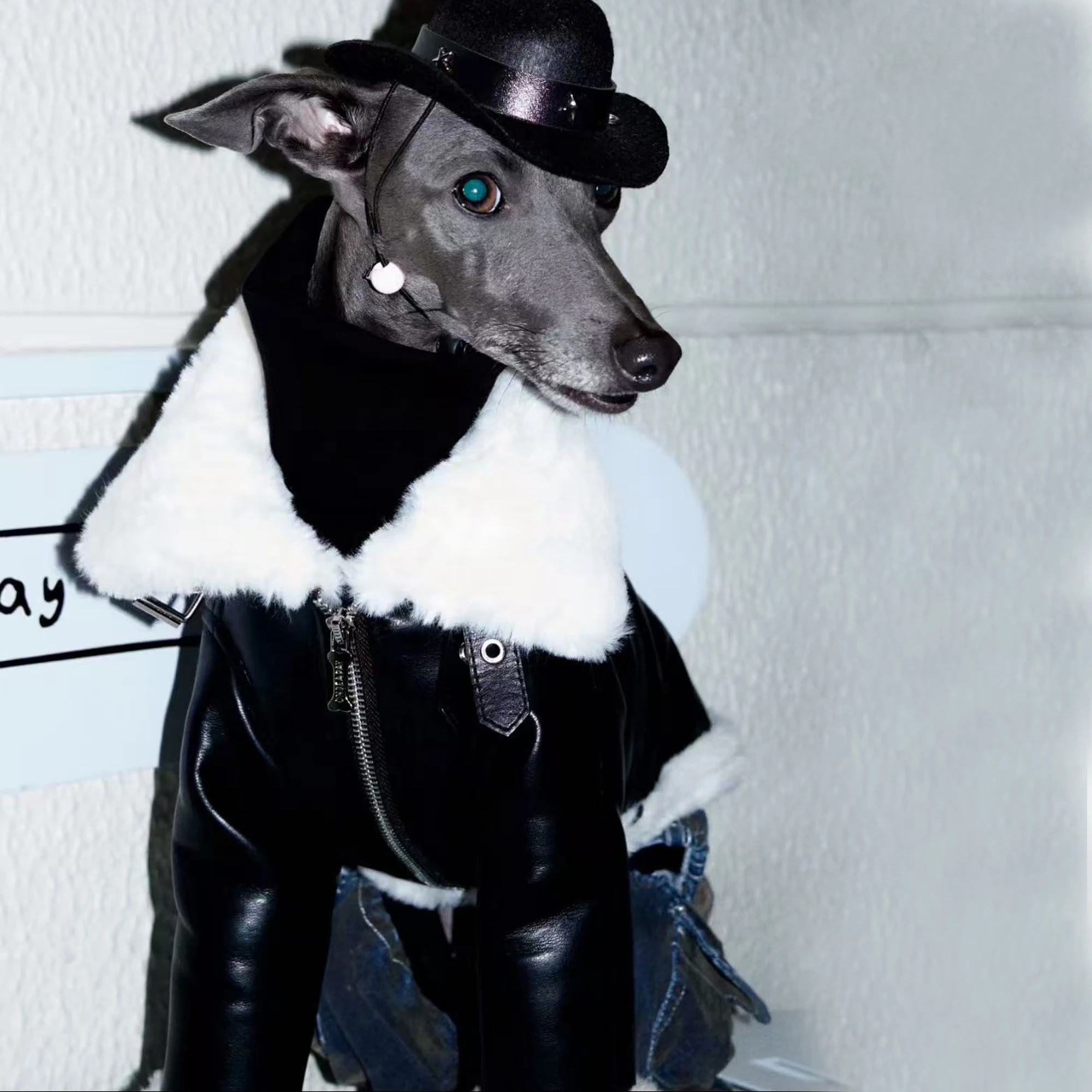 

Thick Warm Leather Jacket for Italian Greyhound in Winter Waterproof Windproof Black Fur Collar Coat for Whippet in Cold Weather