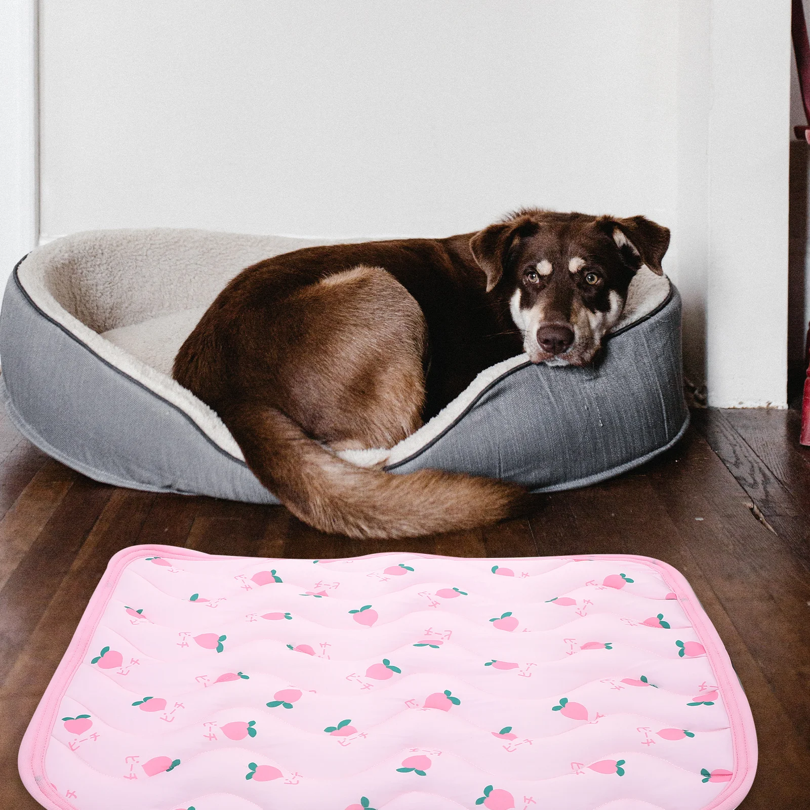 

Pet Cooling Mat for Hot Panting Cats Avoid Overheating Dehydration Adorable Printing Sleeping Mat Household Pet Cushion