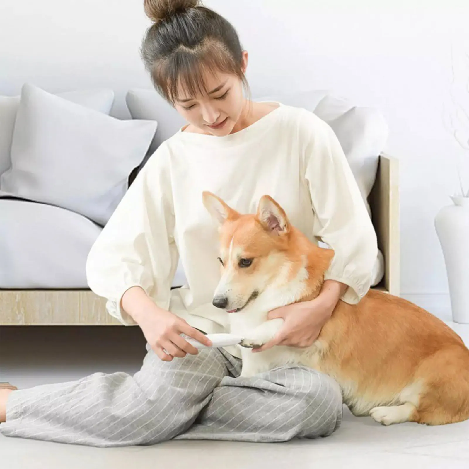 Afeitadora eléctrica para mascotas, cortadora de pelo de bajo ruido, cuchilla afilada segura, recortadora de dientes para perros y gatos, caída de pelo