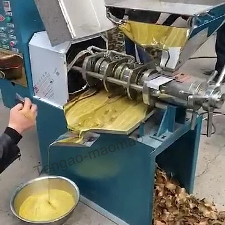 300kg/h Cold Press Sesame Sunflower Seed Oil Press Machine/ Groundnut Peanut Oil Press/ Oil Extraction Machine