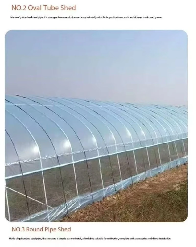 

Сельскохозяйственная обработка теплиц для круглых труб и теплиц для разведения
