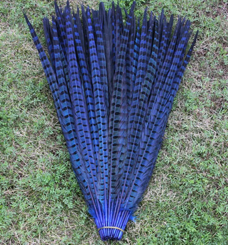 5Pcs/Lot! 45-54CM  Wholesale Colored Ringneck Pheasant Tail Feathers for Crafts  Large Decorative Feather Tail Festival Carniva