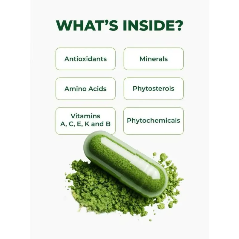 Moringa Capsules – Pure Moringa Powder, Natural Green Plant-Based Supplement with Vitamins and Amino Acids, 60 Vegan Capsules