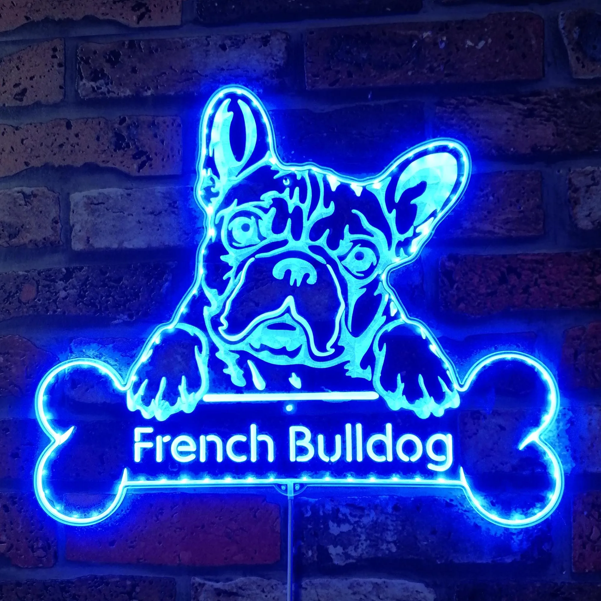 

Name Personalize French Bulldog Glam Led Neon Sign st06-fnd-p0070-tm
