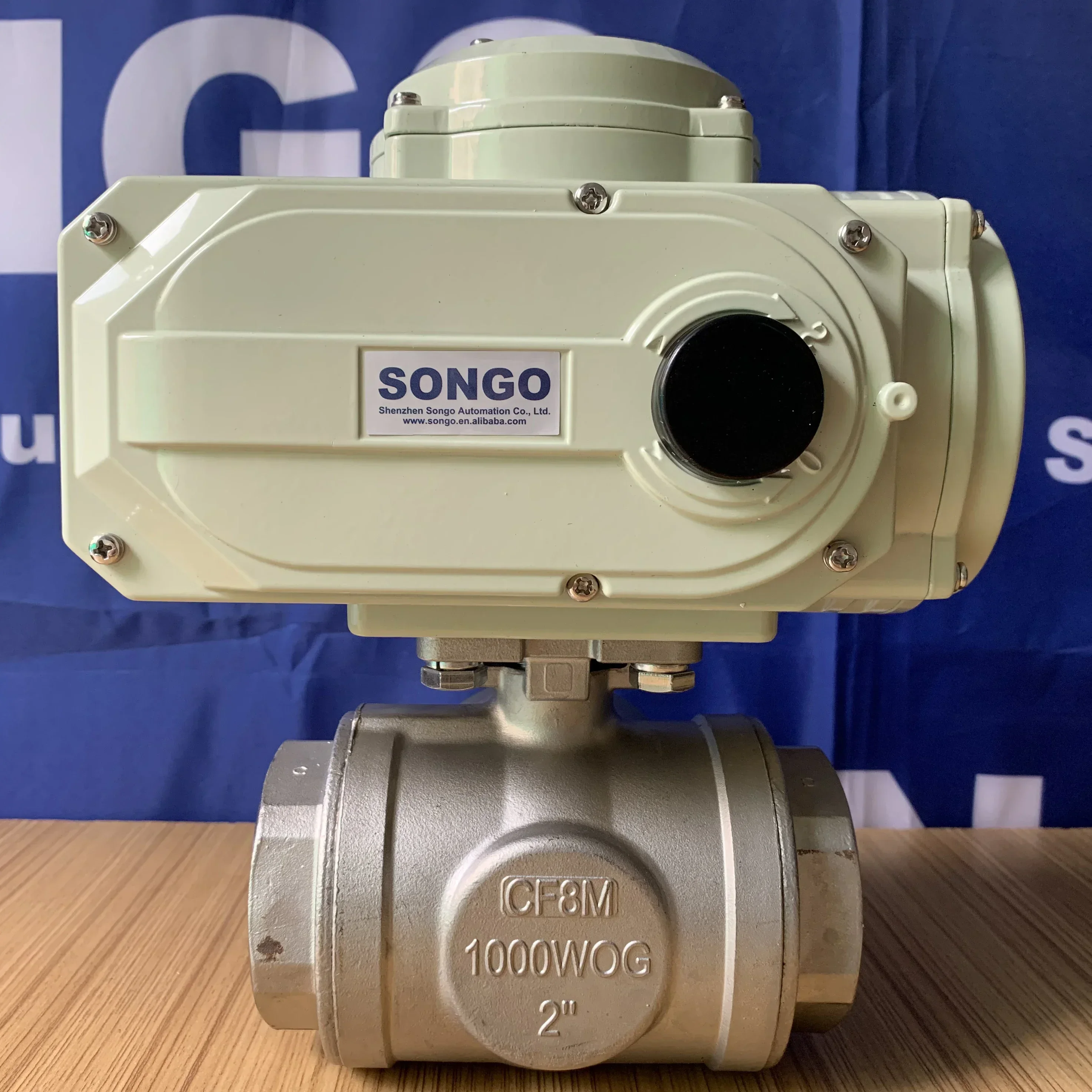 CF8M 1000 Wog DN80 …